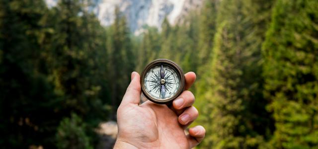 person holding compass facing towards green pine trees by Jamie Street courtesy of Unsplash.